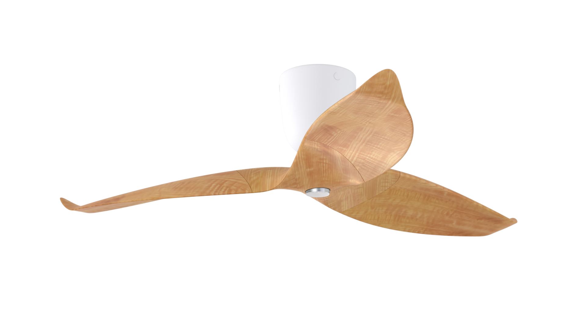 Aeratron AE+3 mit Licht helle Holzoptik / weiß